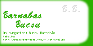 barnabas bucsu business card